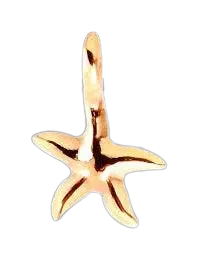 Charm étoile de mer or jaune - Vingt et un grammes
